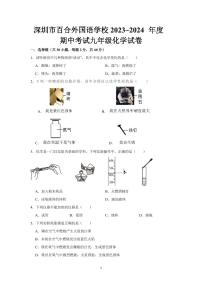 广东省深圳市龙岗区百合外国语学校2023~2024学年九年级上学期期中考试化学试卷