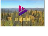 【核心素养目标】粤教版初中化学九年级下册6.3 《 金属矿物与冶炼》课件+教案（含教学反思）
