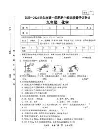 甘肃省定西市安定区等2地2023-2024学年九年级上学期11月期中化学试题