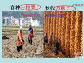 人教版化学九年级下册第九单元《实验活动5 一定溶质质量分数的氯化钠溶液的配制》PPT课件4