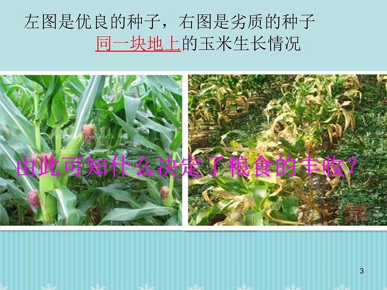 人教版化学九年级下册第九单元《实验活动5 一定溶质质量分数的氯化钠溶液的配制》PPT课件4第3页