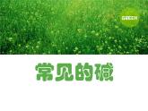 人教版化学九年级下册10.1.3《常见的碱》PPT课件4