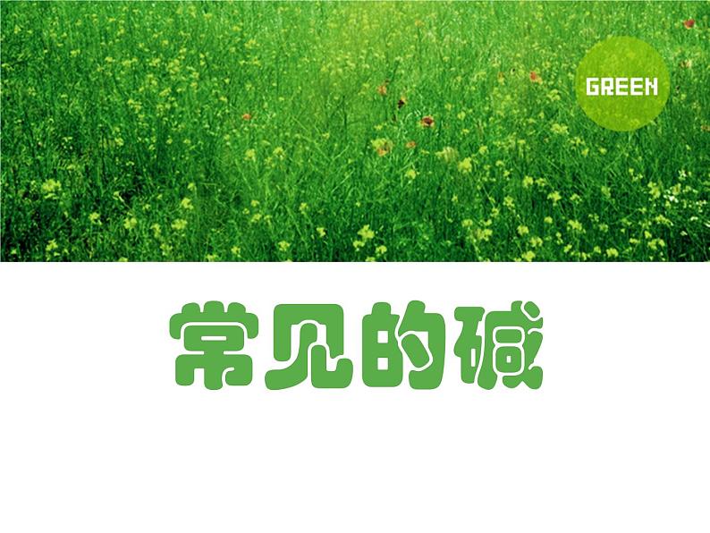 人教版化学九年级下册10.1.3《常见的碱》PPT课件4第1页