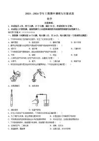 2023-2024周口市西华县九上期中化学试卷及答案