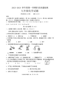 山东省青岛市城阳区2023-2024学年九年级上学期期中检测化学试题