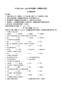 北京市丰台区2023-2024学年九年级上学期期中化学试题