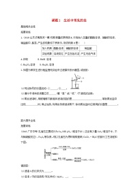 人教版九年级下册课题1 生活中常见的盐课时训练