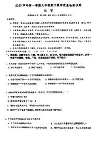 广东省广州市广雅集团联考2023-2024学年九年级上学期11月期中化学试题