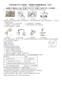 安徽省亳州市风华实验中学2023-2024学年九年级上学期期中化学试题