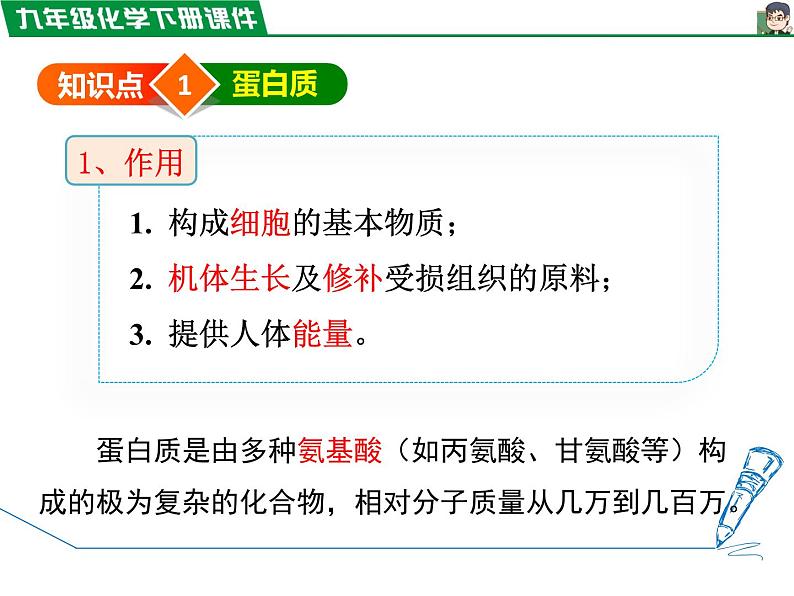 12.1人类重要的营养物质课件PPT第4页