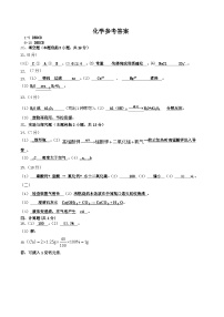 江苏省徐州市沛县第五中学2023-2024学年九年级上学期11月月考化学试题