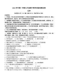 广东省广州市荔湾区广雅集团联考2023-2024学年九年级上学期期中化学试题