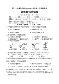 福建省厦门市一中集美分校2023-2024学年九年级上学期期中考试化学试卷