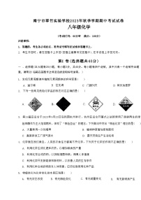 南宁翠竹实验学校2023-2024年上学期段考八年级化学试卷