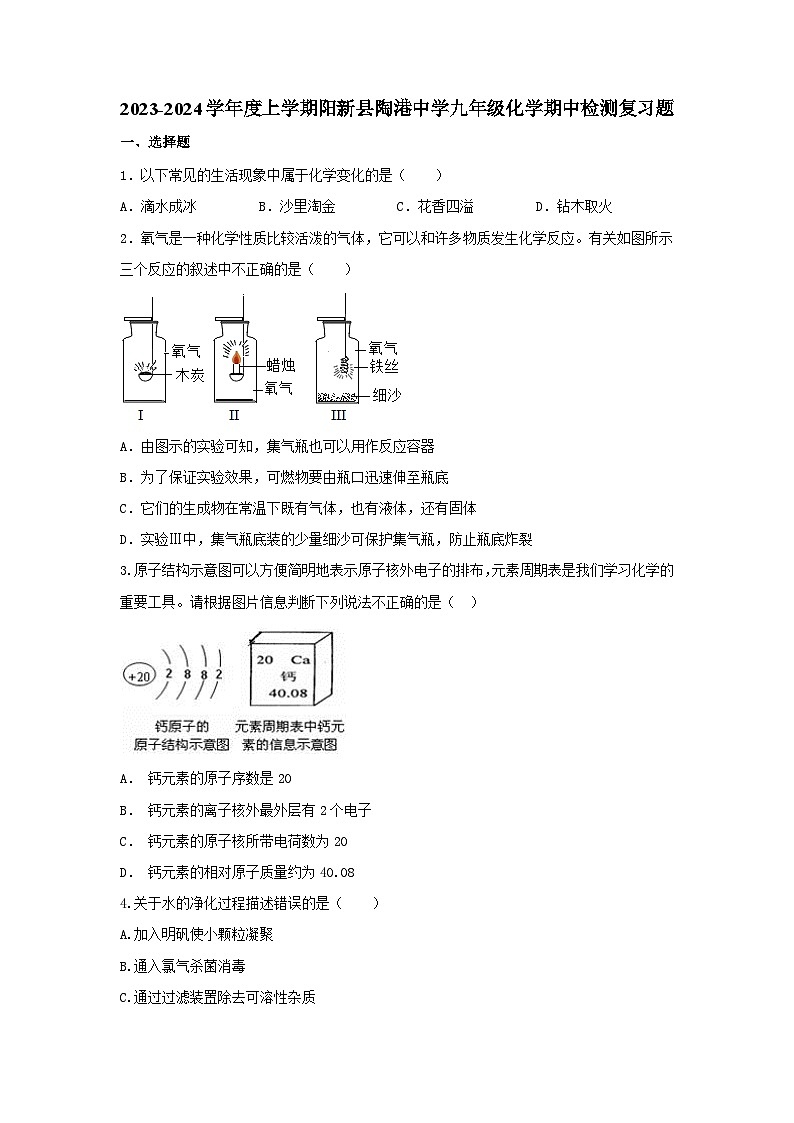 湖北省黄石市阳新县陶港镇初级中学2023-2024学年九年级上学期化学期中检测复习题第1页