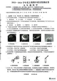 河南省信阳市罗山县2023-2024学年九年级上学期11月期中化学试题