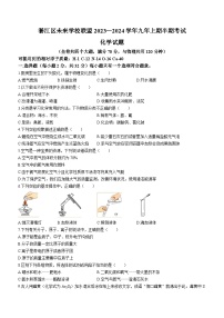 重庆市綦江区未来学校联盟2023-2024学年九年级上学期期中化学试题