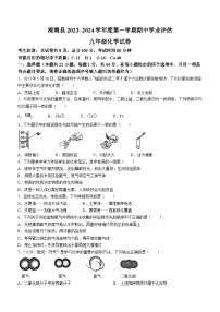 河北省唐山市滦南县2023-2024学年九年级上学期期中化学试题