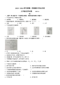 河北省唐山市路南区2023-2024学年九年级上学期期中化学试题