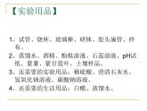 《实验活动7 溶液酸碱性的检验》PPT课件2-九年级下册化学人教版