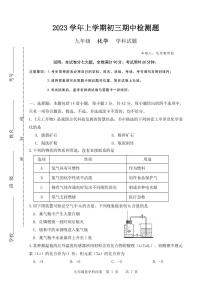 广东省广州市仲元中学附属学校2023-2024学年九年级上学期11月期中化学试题