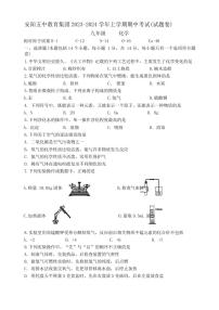 河南省安阳五中教育集团2023-2024学年九年级上学期期中考试化学试卷