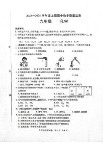 河南省信阳市固始县2023-2024学年九年级上学期11月期中化学试题