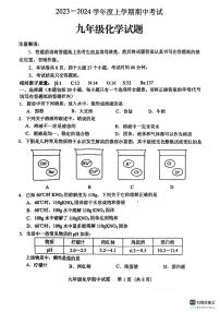 山东省泰安市肥城市2023-2024学年九年级上学期期中考试化学试题(PDF版无答案）