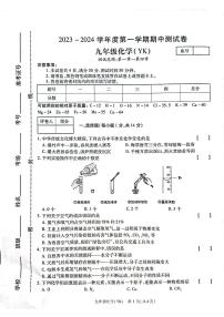 2023-2024学年河南省新乡市卫辉市九年级（上）期中化学试卷