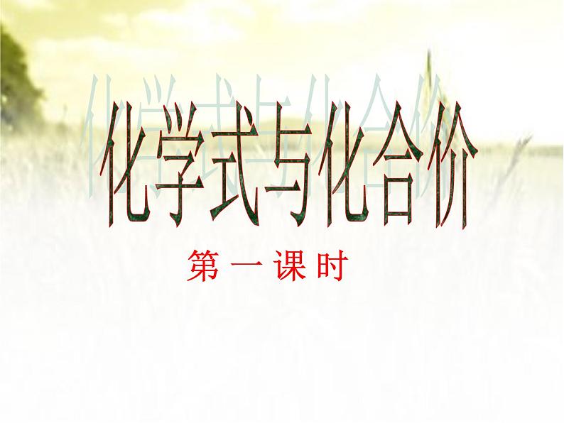 4.4《化学式与化合价》PPT课件4-九年级上册化学人教版第1页