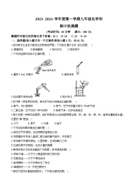 海南省海口市秀英区丰南中学2023-2024学年九年级上学期期中化学试题