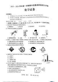 河南省洛阳市伊川县2023-2024学年九年级上学期11月期中化学试题