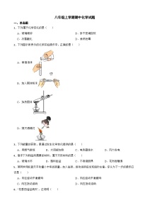 山东省淄博2023年八年级上学期期中化学试题(附答案）