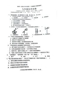 广东省湛江市廉江市2023-2024学年九年级上学期11月期中化学试题