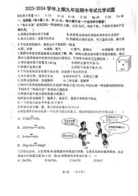 河南省郑州枫杨外国语学校2023-2024学年九年级上学期化学期中试题