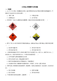 广西百色市2023年九年级上学期期中化学试题（附答案）