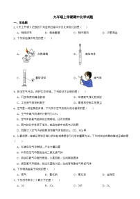 河南省南阳市2023年九年级上学期期中化学试题（附答案）