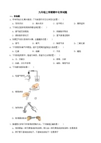 河南省商丘市2023年九年级上学期期中化学试题（附答案）