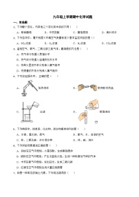 河南省信阳2023年九年级上学期期中化学试题（附答案）