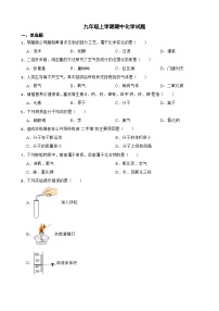 云南省玉溪市2023年九年级上学期期中化学试题（附答案）