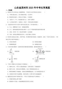 山东省2023年中考化学真题十三套附参考答案