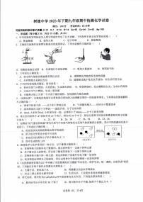 2023-2024学年湖南省郴州市永兴县树德教育集团九年级（上）期中化学试卷