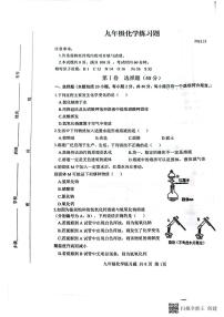 山东省泰安市岱岳区2023-2024学年九年级上学期11月期中化学试题