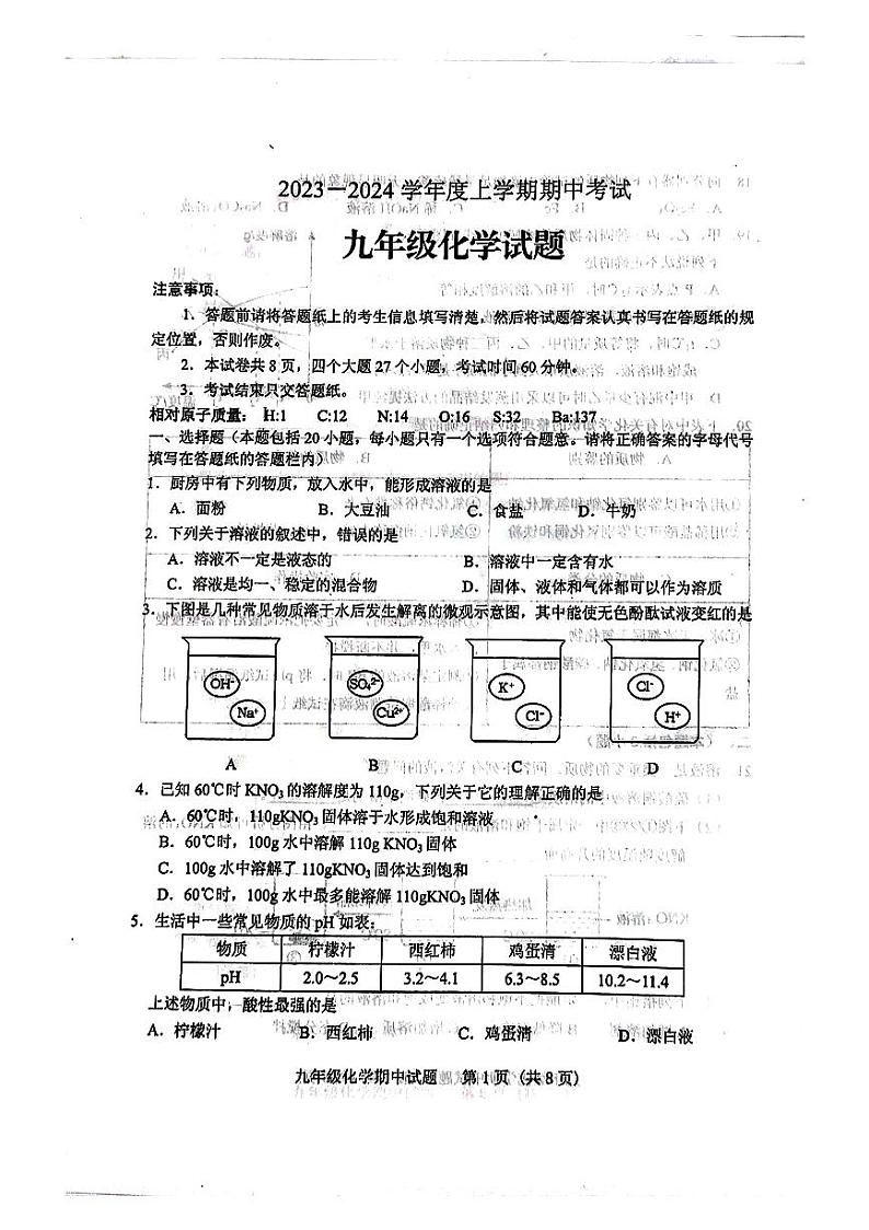 山东省泰安市肥城市2023-2024学年九年级上学期期中化学试卷第1页