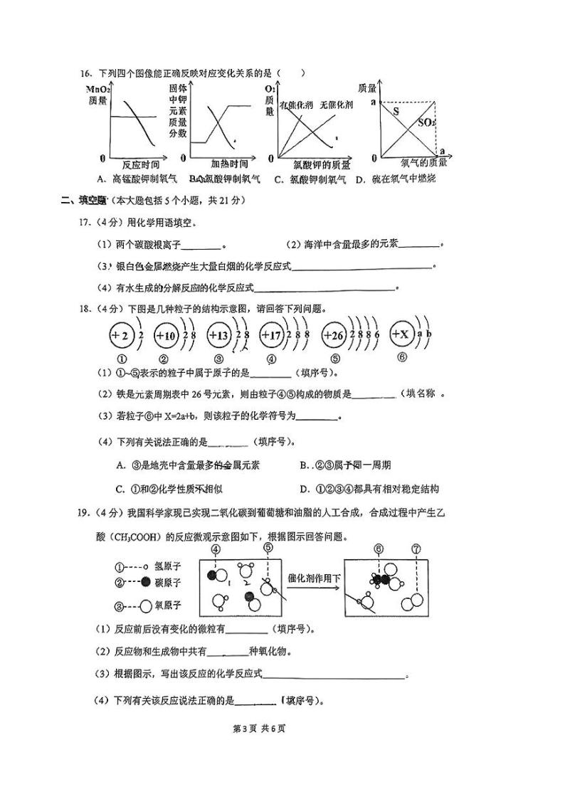 重庆市第一中学校2023-2024学年九年级上学期期中化学测试卷03