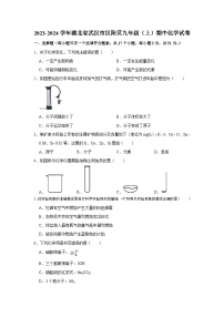 湖北省武汉市汉阳区2023-2024学年九年级上学期期中化学试卷