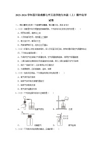 2023-2024学年四川省成都七中万达学校九年级（上）期中化学试卷