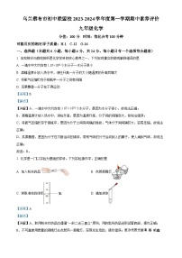 内蒙古乌兰察布市初中联盟校2023-2024学年九年级上学期期中化学试题（解析版）