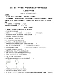 山东省滨州市博兴县2023-2024学年九年级上学期期中化学试题