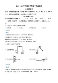 山东省临沂市费县2023-2024学年九年级上学期期中化学试题（解析版）